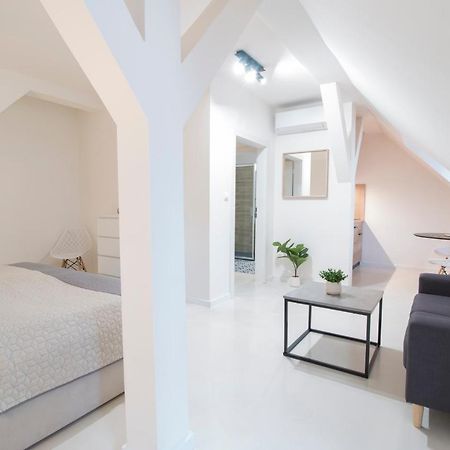 U Zlate Hvezdy Apartman Jungmann Appartement Litoměřice Buitenkant foto