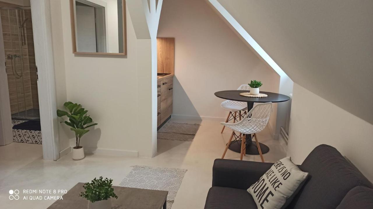 U Zlate Hvezdy Apartman Jungmann Appartement Litoměřice Buitenkant foto
