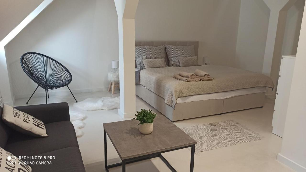 U Zlate Hvezdy Apartman Jungmann Appartement Litoměřice Buitenkant foto